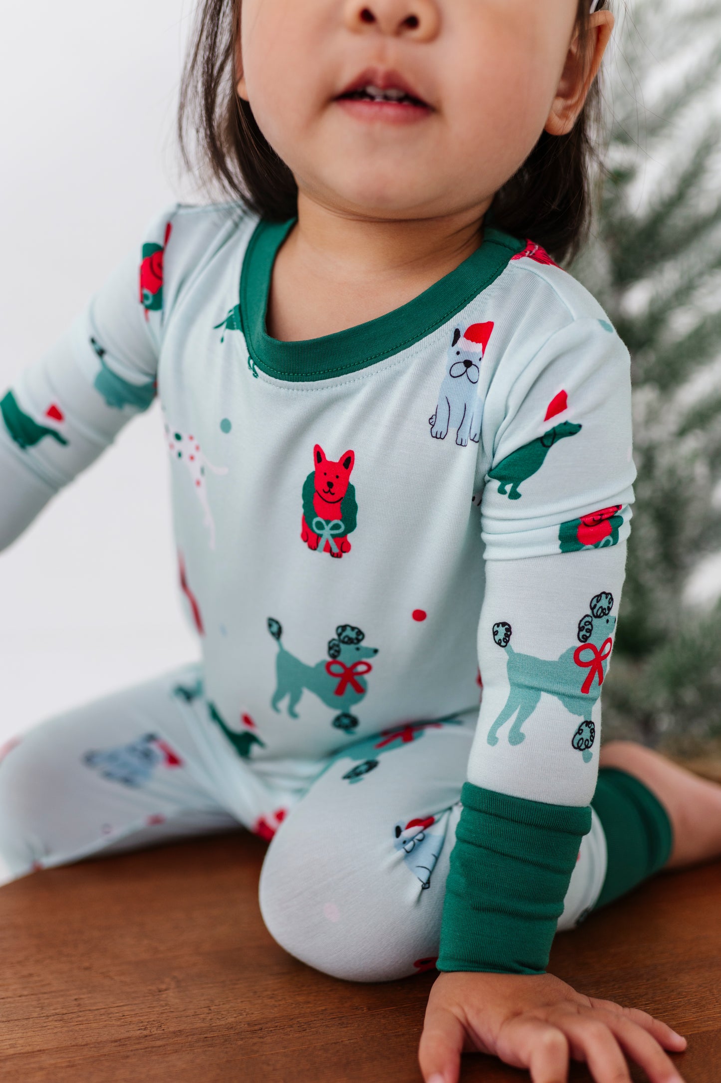 Christmas Dog Kids Pajamas 